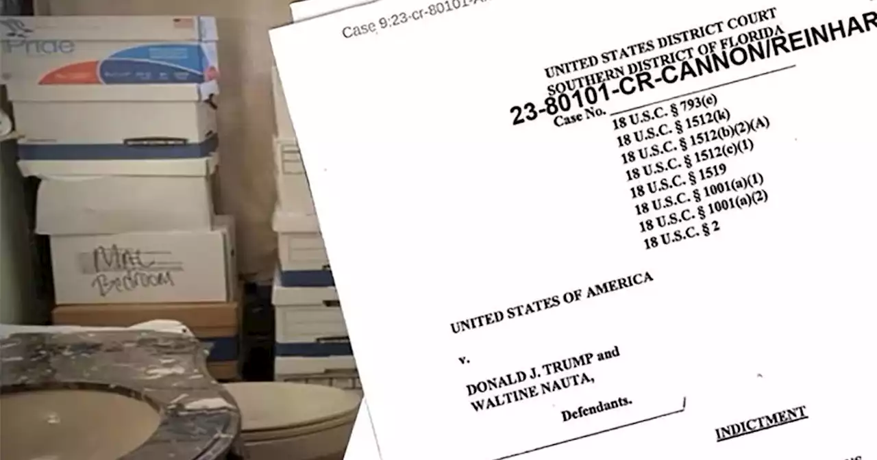 Historian on Trump indictment: 'Our system is working \u2026 Nobody is above the law'