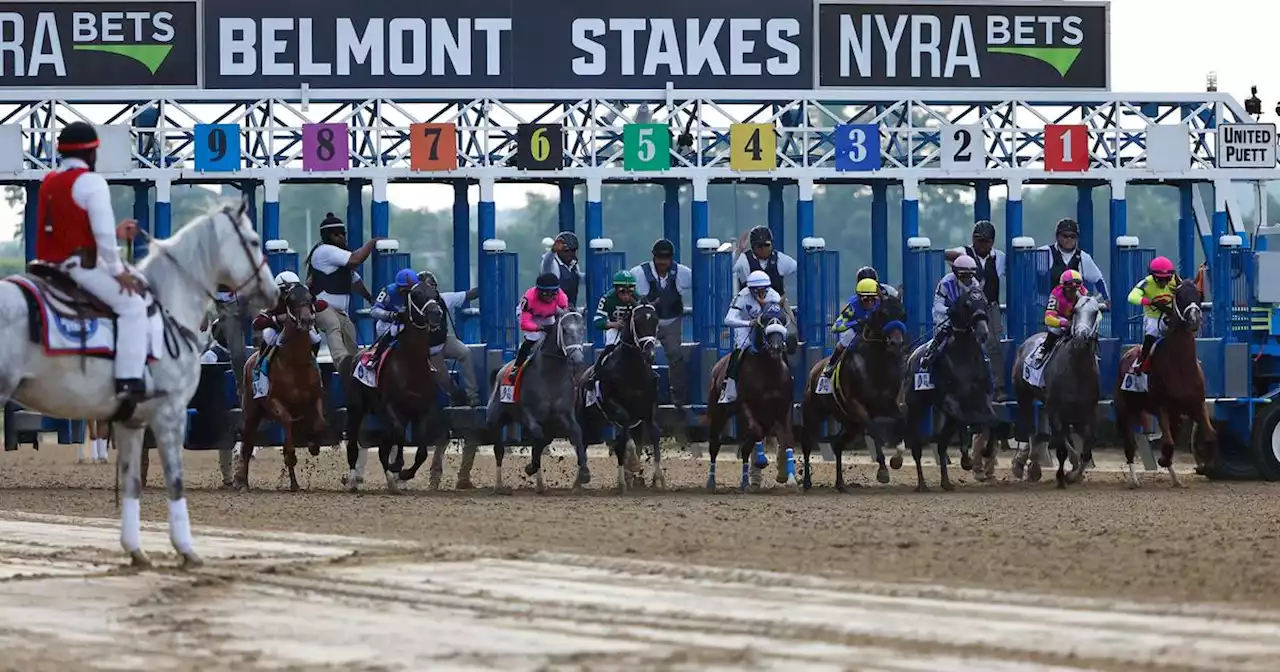 2 race horses die at Belmont Park in 24 hours after Belmont Stakes
