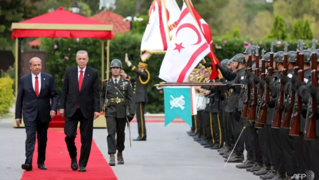 Victorious Erdogan demands recognition of northern Cyprus