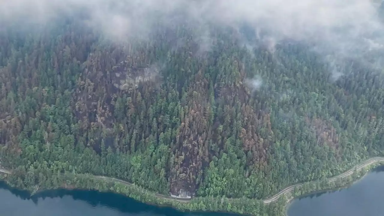 Crews continue to battle Cameron Bluffs wildfire on day 10