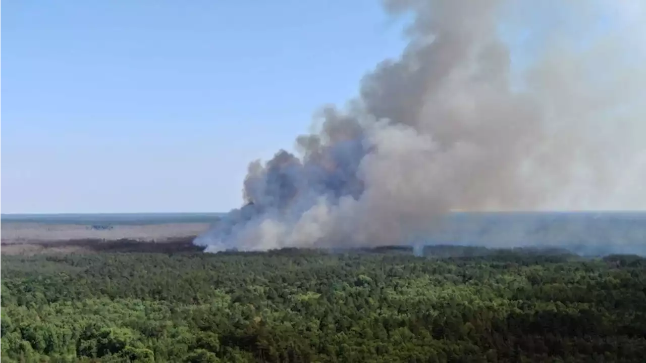 Feuer auf früheren Truppenübungsplätzen