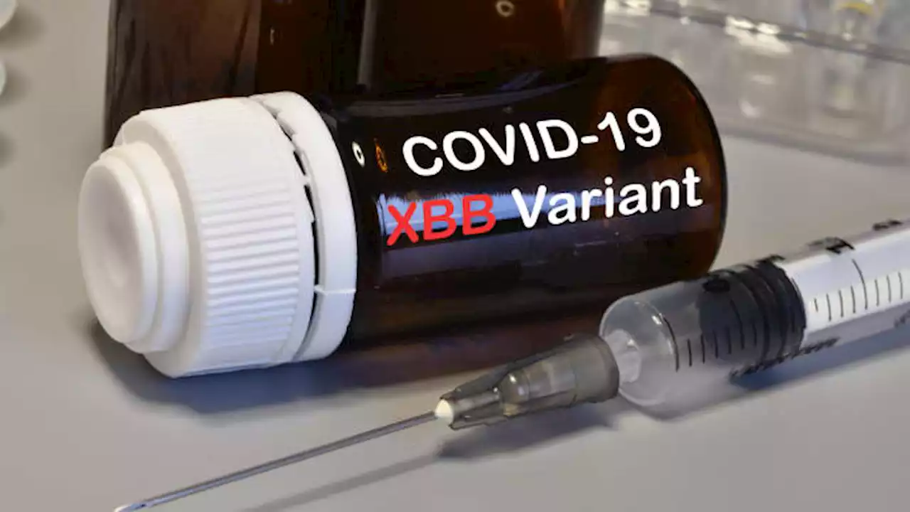 Updated Covid vaccines need to target XBB omicron variants this fall, FDA staff says