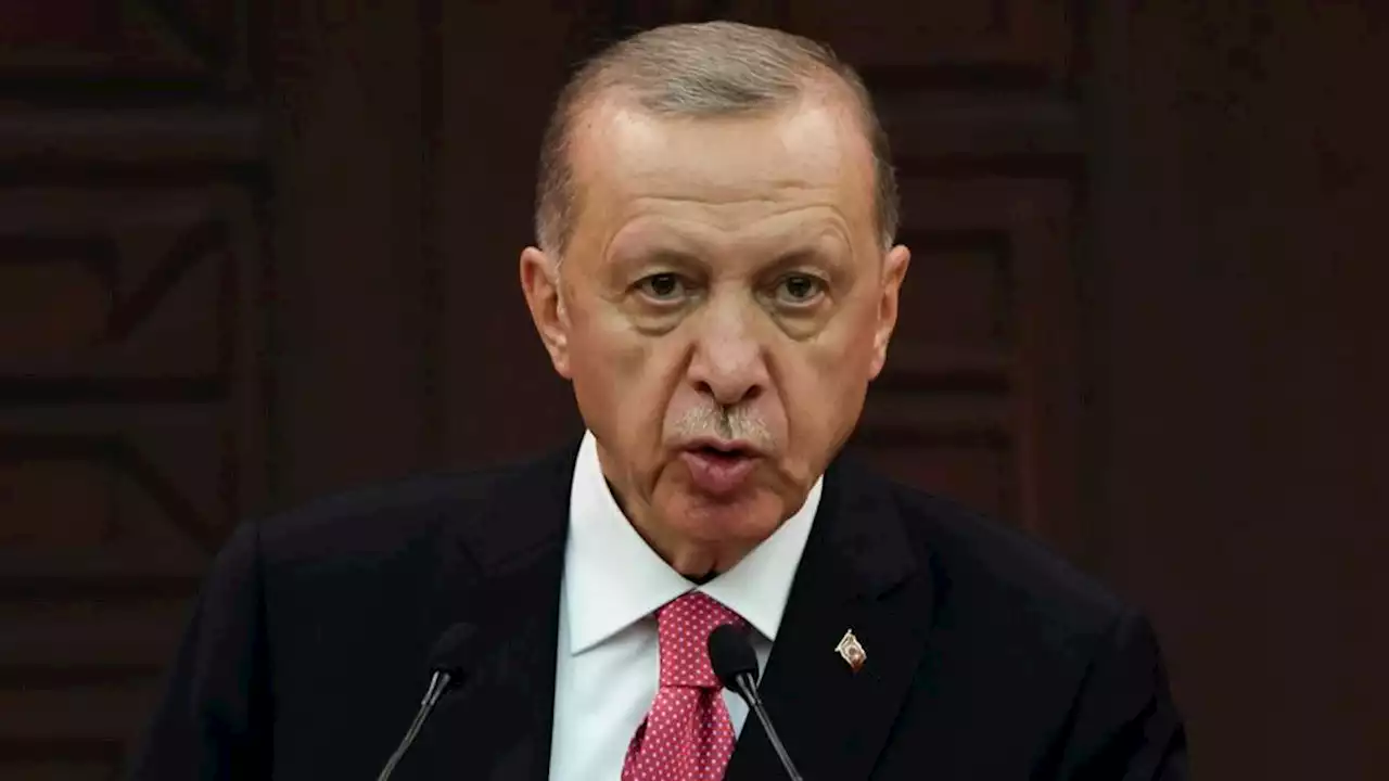 Turquie : opposants, magistrats, intellectuels, artistes... Qui sont les prisonniers politiques du président Erdogan ?