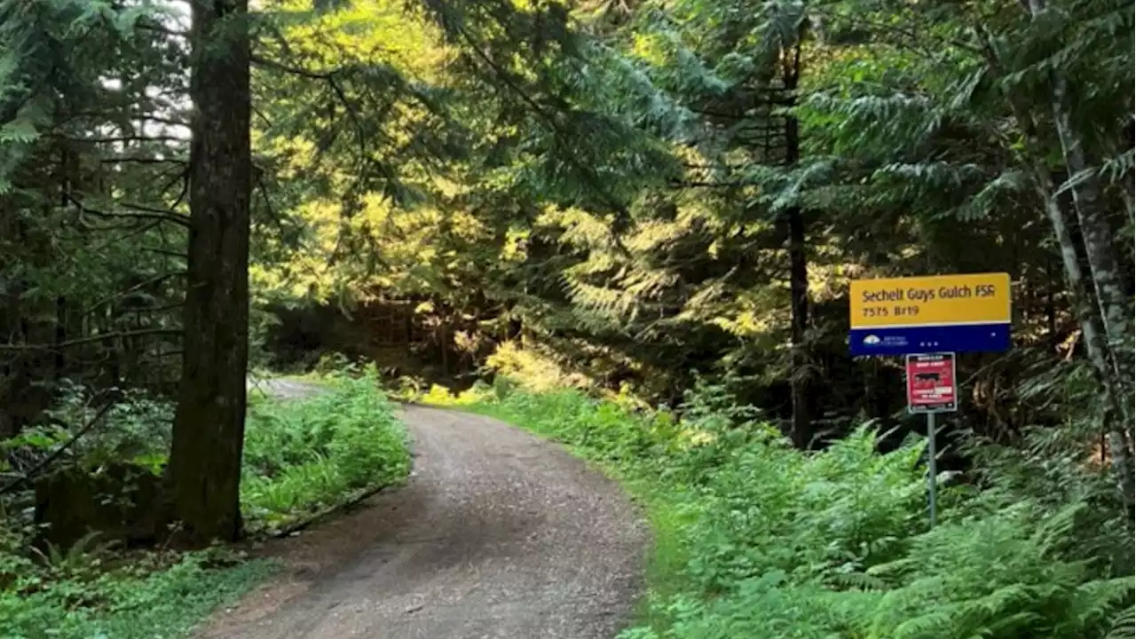 Woman attacked by cougar while mountain biking on Sunshine Coast: BCCOS