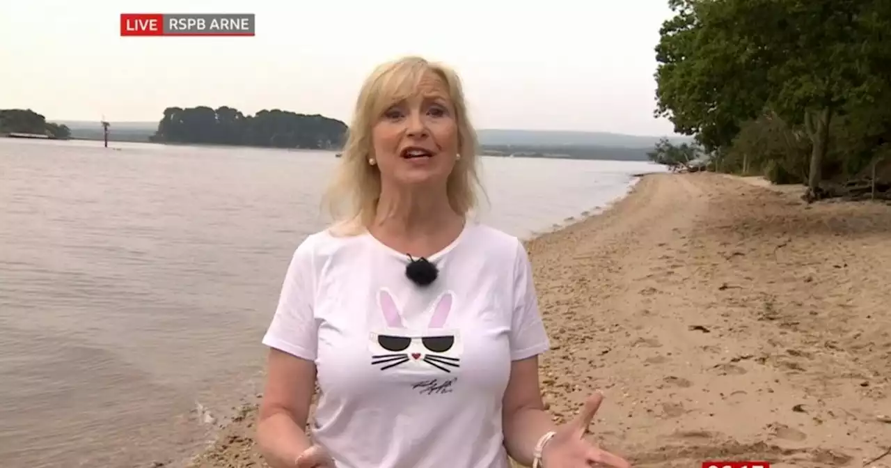 Carol Kirkwood's outfit distracts viewers on BBC Breakfast