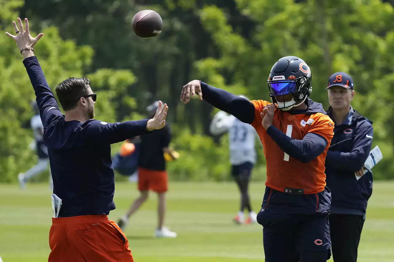 Chemistry between Fields, Moore already accelerating for Bears