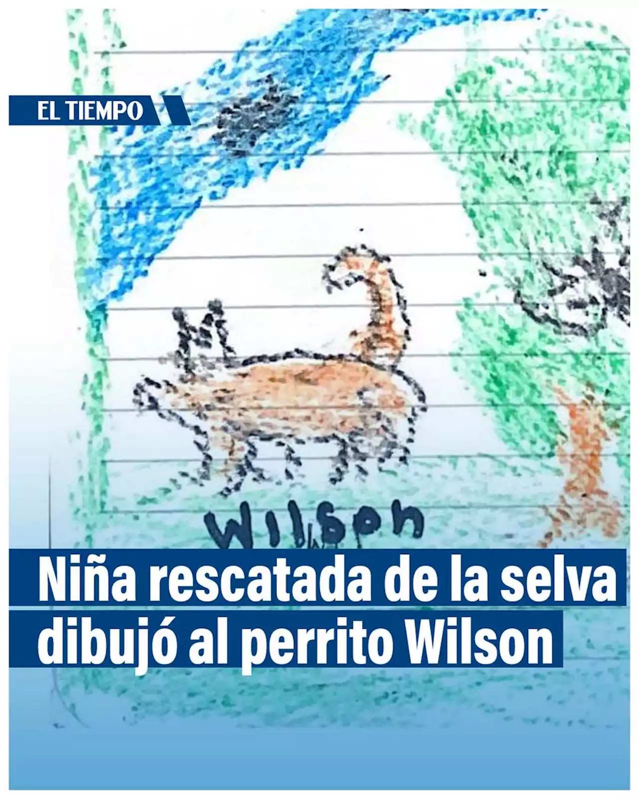 El dibujo de Lesly, la niña rescatada en la selva, del perrito Wilson