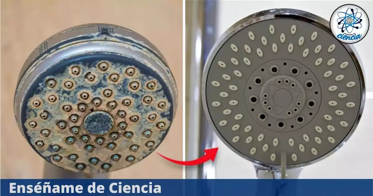 Cómo eliminar el sarro de la regadera: 2 trucos infalibles para que luzca como nueva