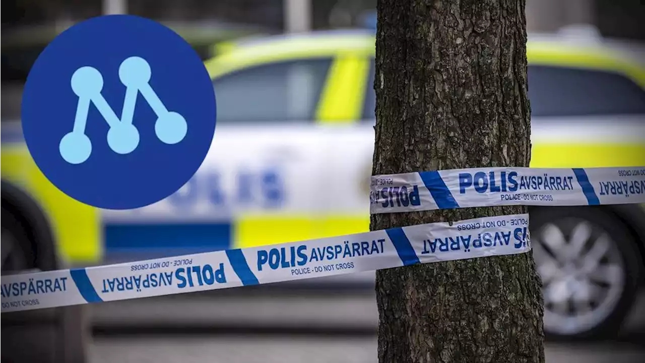 Moderat toppnamn häktas för misshandel och barnfridsbrott