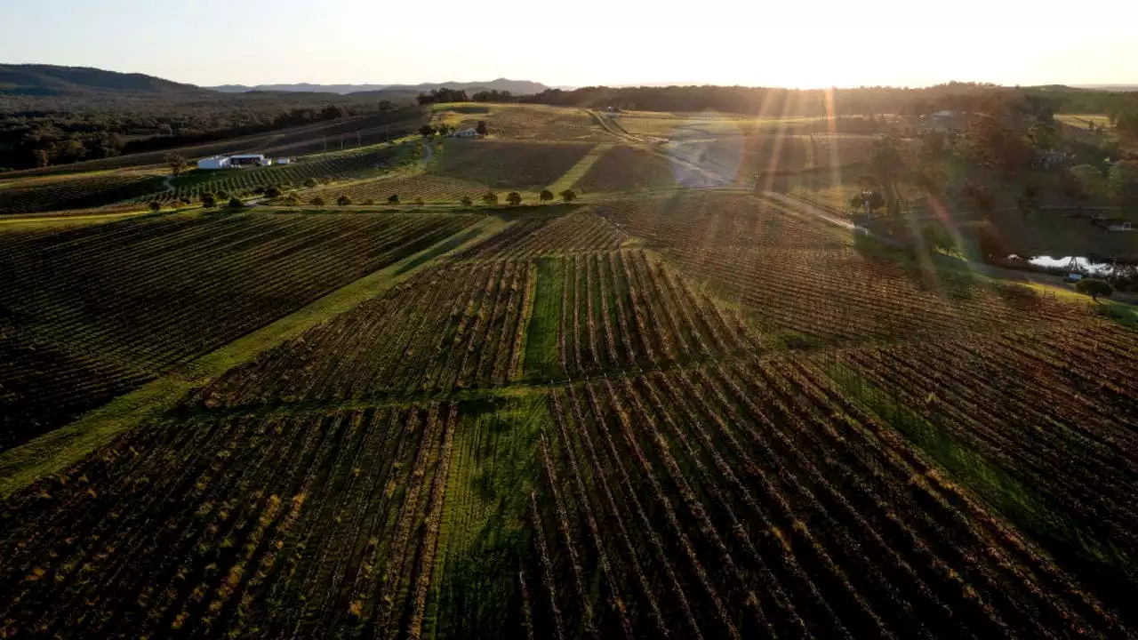 Rollover bus crash kills, injures wedding guests visiting Australia's wine country