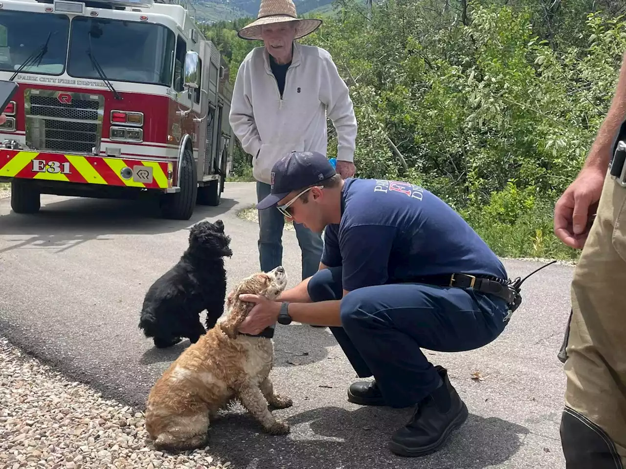 Park City dog rescued from culvert