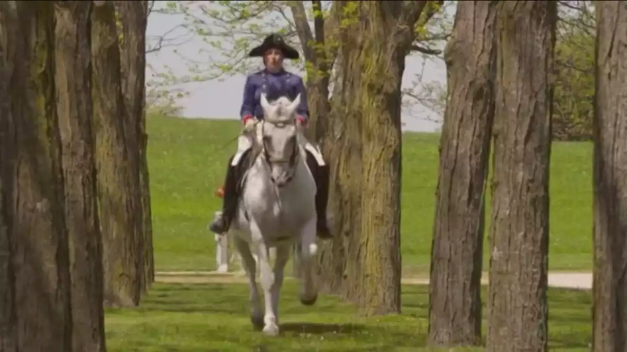 Tempel Lipizzans celebrate 65 years in the Chicago area