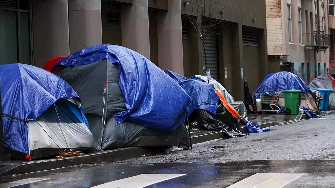 Fed up San Francisco residents forced to self-fund heavyweight planters to block homeless encampments