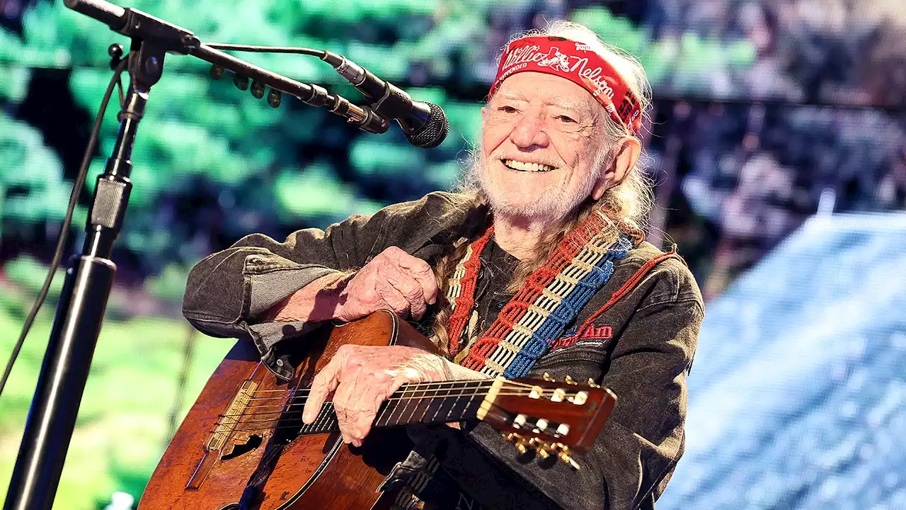 Willie Nelson, country music legend, gets new species of grasshopper named after him