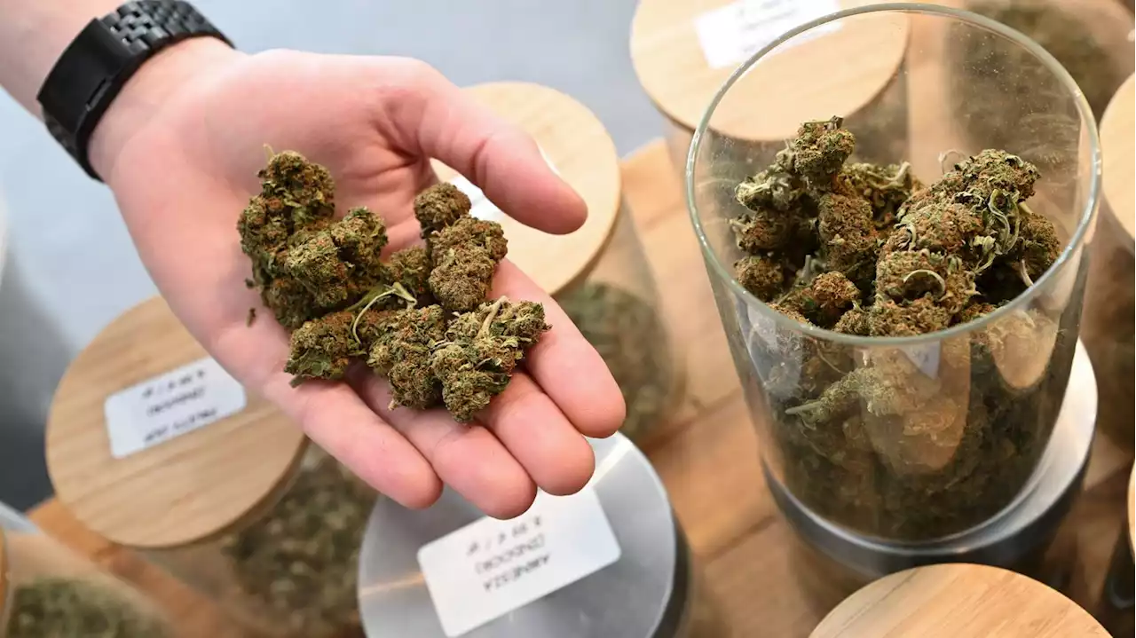 L'Agence du médicament interdit la vente et la consommation du HHC, dérivé de synthèse du cannabis, désormais classé comme stupéfiant