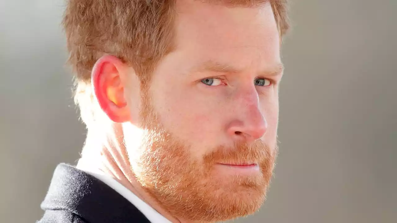 Why Prince Harry faces an agonising wait over landmark court case