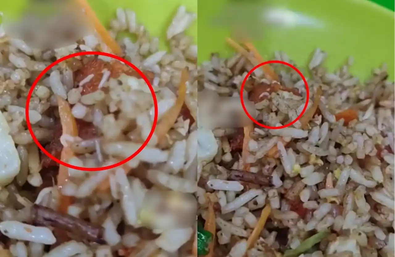 (Video) Customer Shocked To Discover Maggots In Fried Rice At Ampang Restaurant - Hype MY