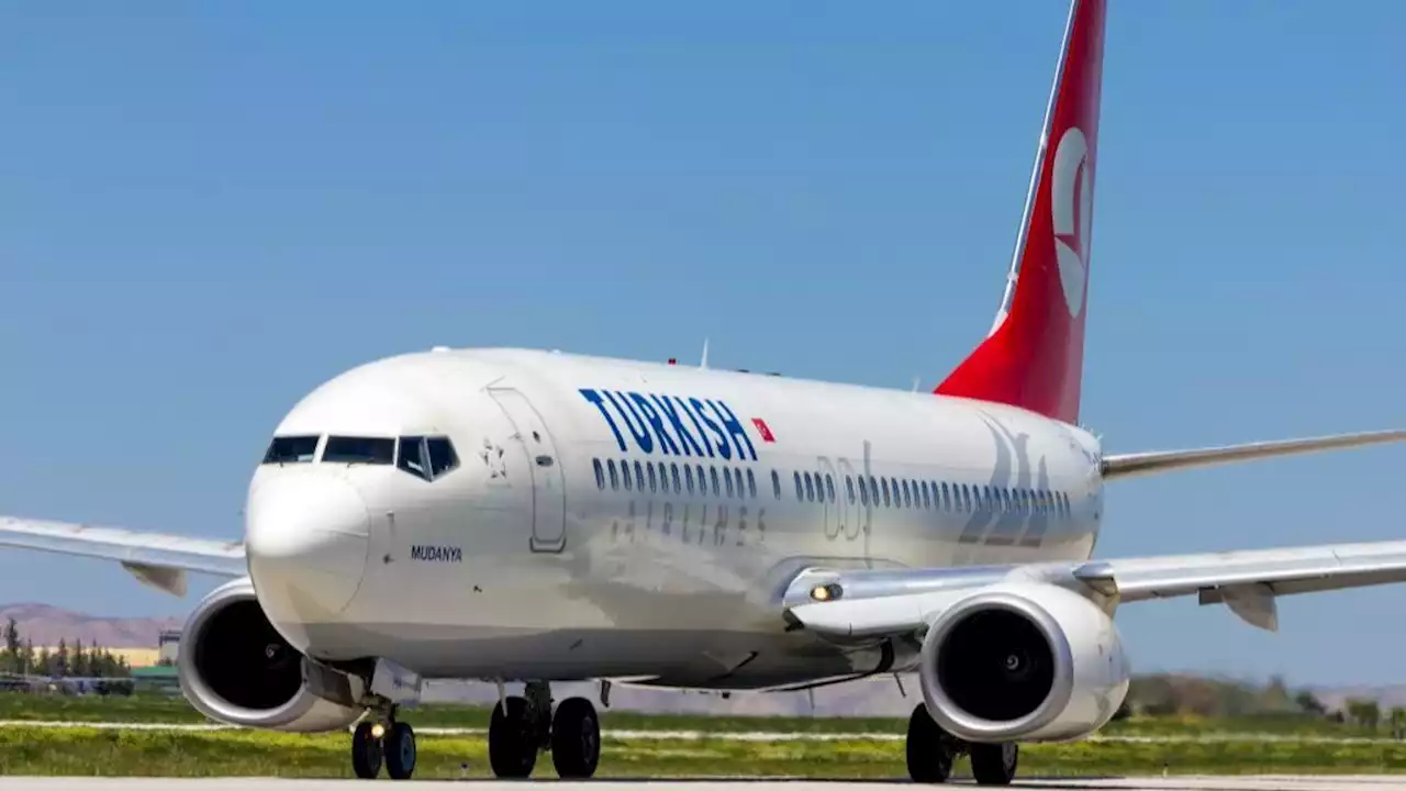 Trágico incidente en un avión: muere un niño de once años en un vuelo de Estambul a Nueva York