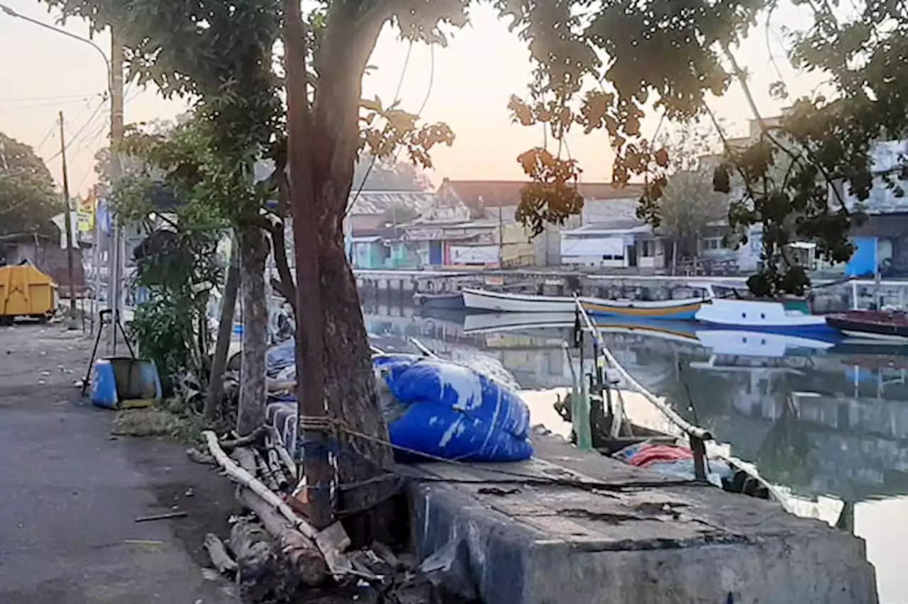 Sudah Ada Bollard, Nelayan di Pasuruan Masih Pilih Pohon untuk Kaitkan Perahu