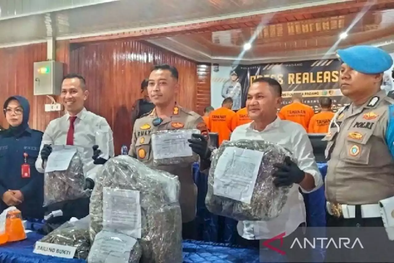 Polresta Padang Menggagalkan Peredaran 14 Kg Ganja, 3 Pelaku Ditangkap