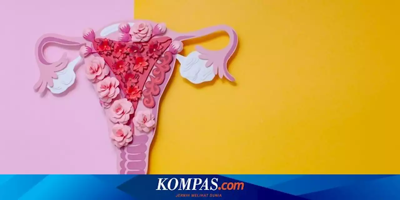 Bikin Wanita Sulit Hamil, Apa Penyebab Endometriosis?