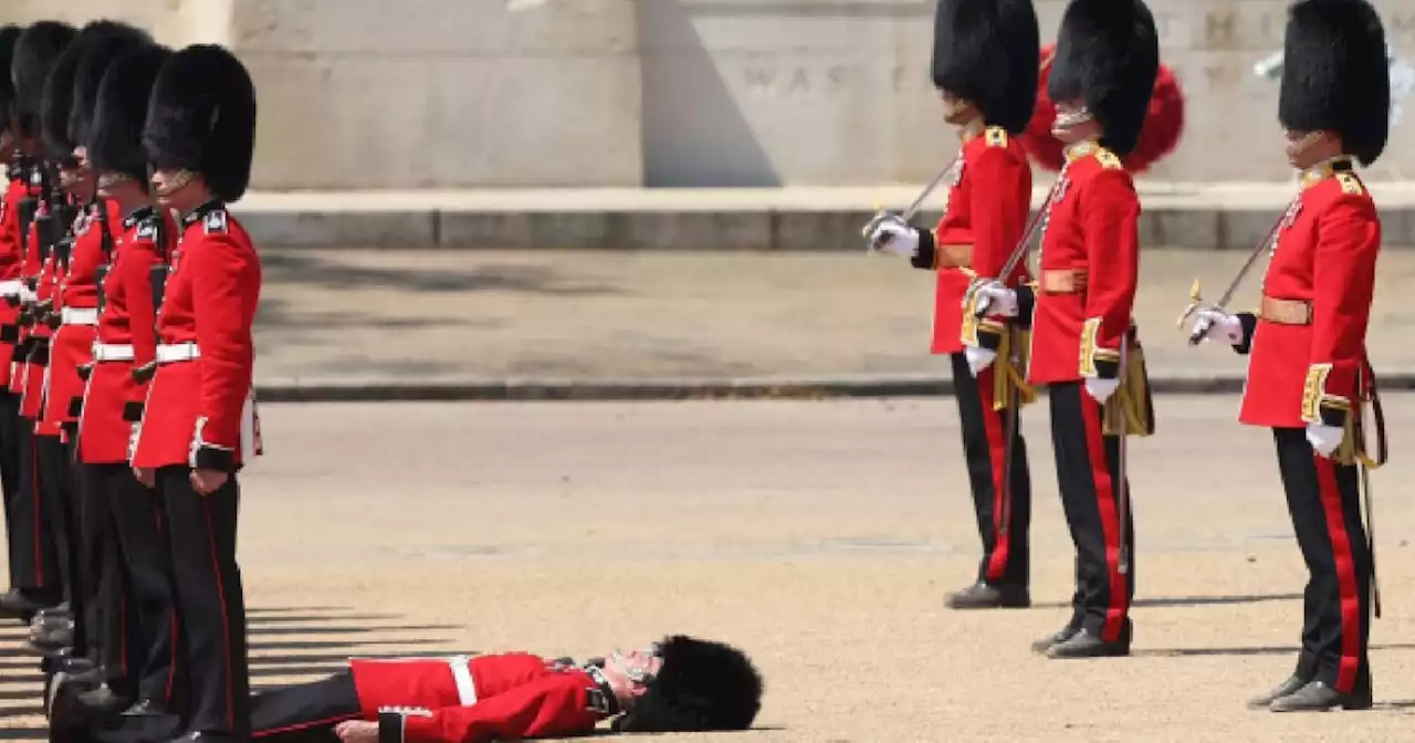 Miembro de la Guardia Real Británica se desmayó y el desfile continuó con él en el piso