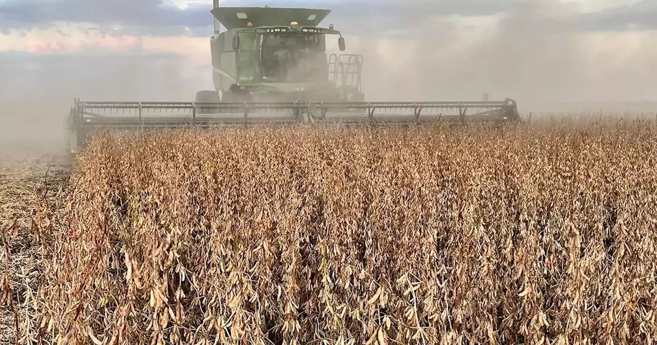 Primer congreso de políticas públicas para la Agrobioindustria | Actualidad | La Voz del Interior