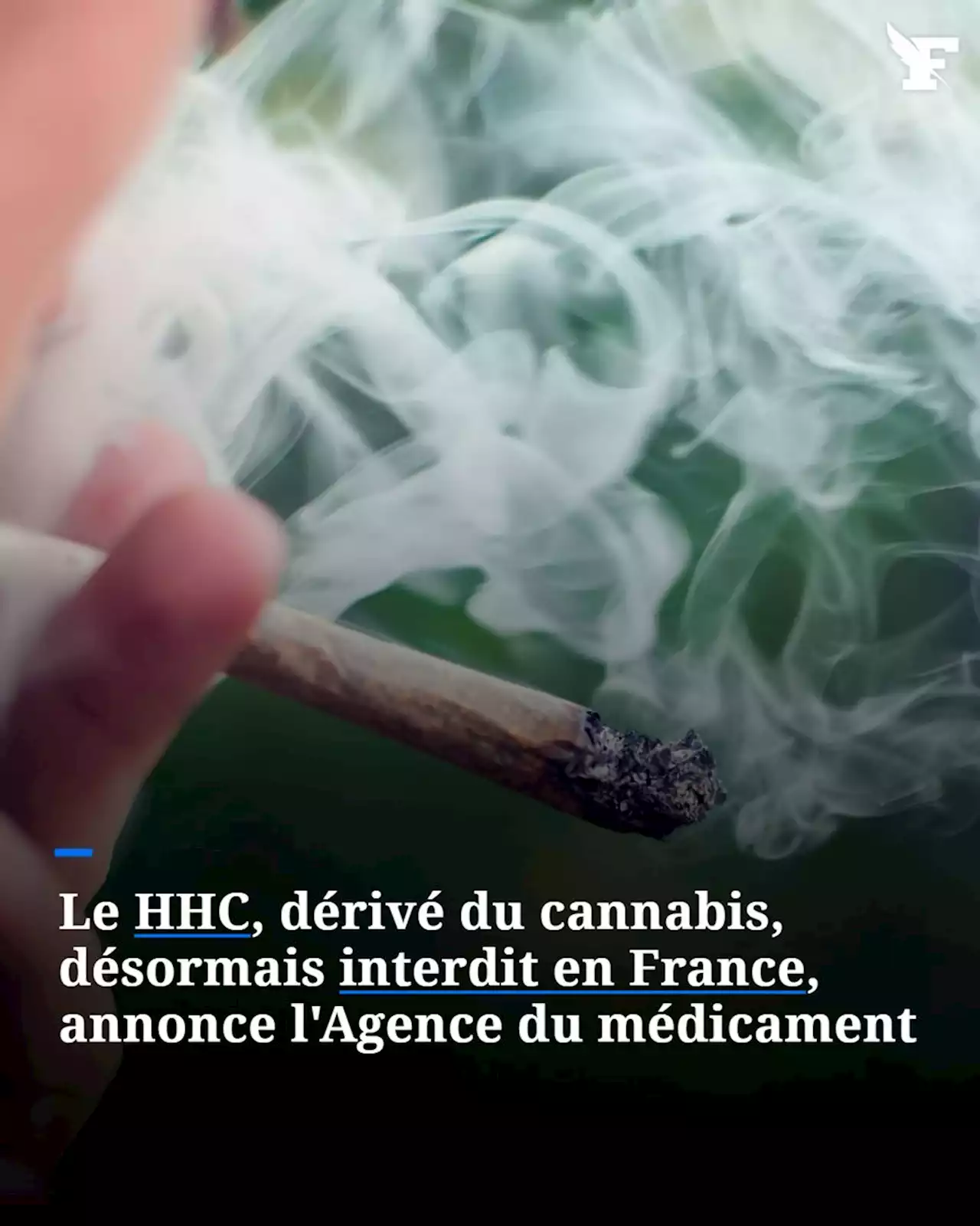 Cannabis : le HHC interdit dès mardi en France, annonce l'Agence du médicament