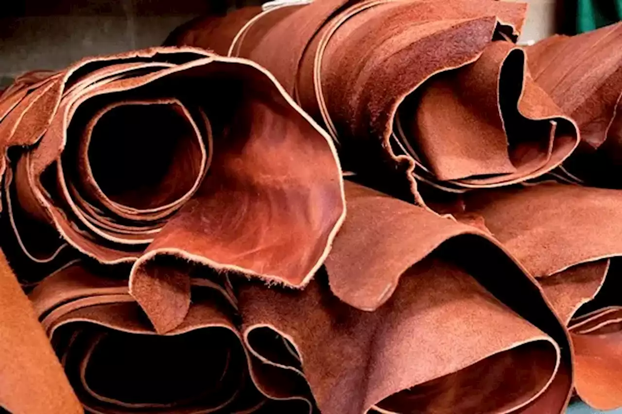 Stakeholders Move To Improve Nigeria’s $17bn Leather Value Chain