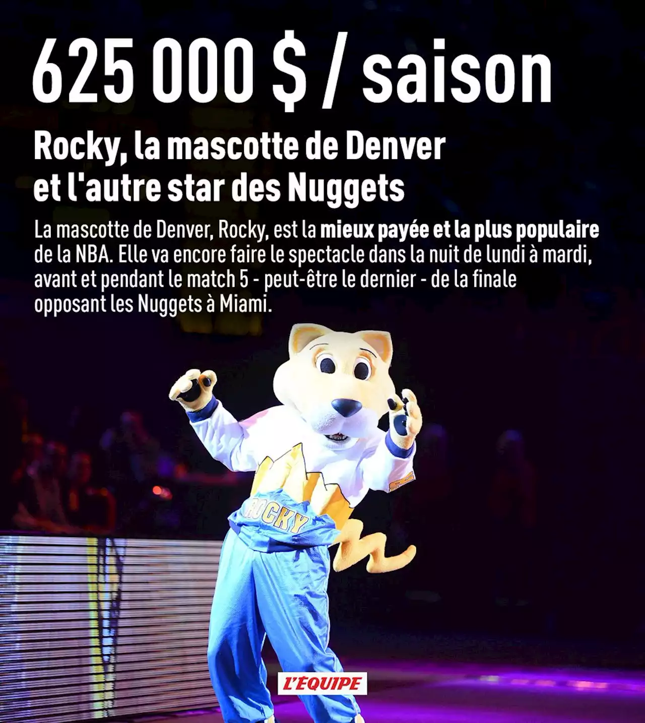 Rocky, la mascotte de Denver et l'autre star des Nuggets