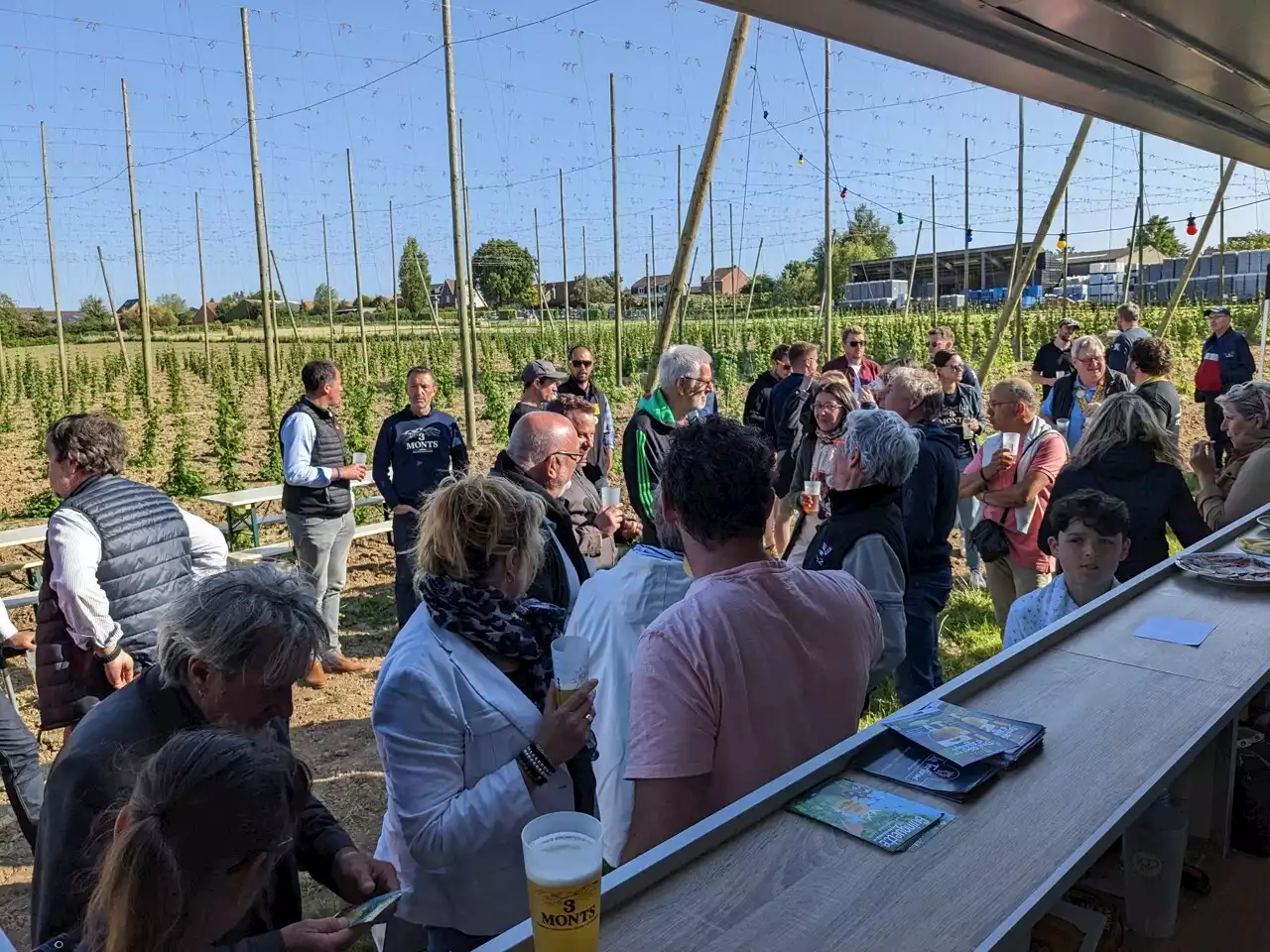 Tout l'été, une guinguette s'installe dans cette houblonnière à 30 minutes de Lille