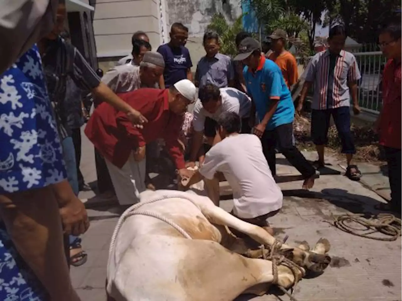 Jelang Idul Adha, Temanggung Gelar Pelatihan Juru Sembelih Hewan Kurban