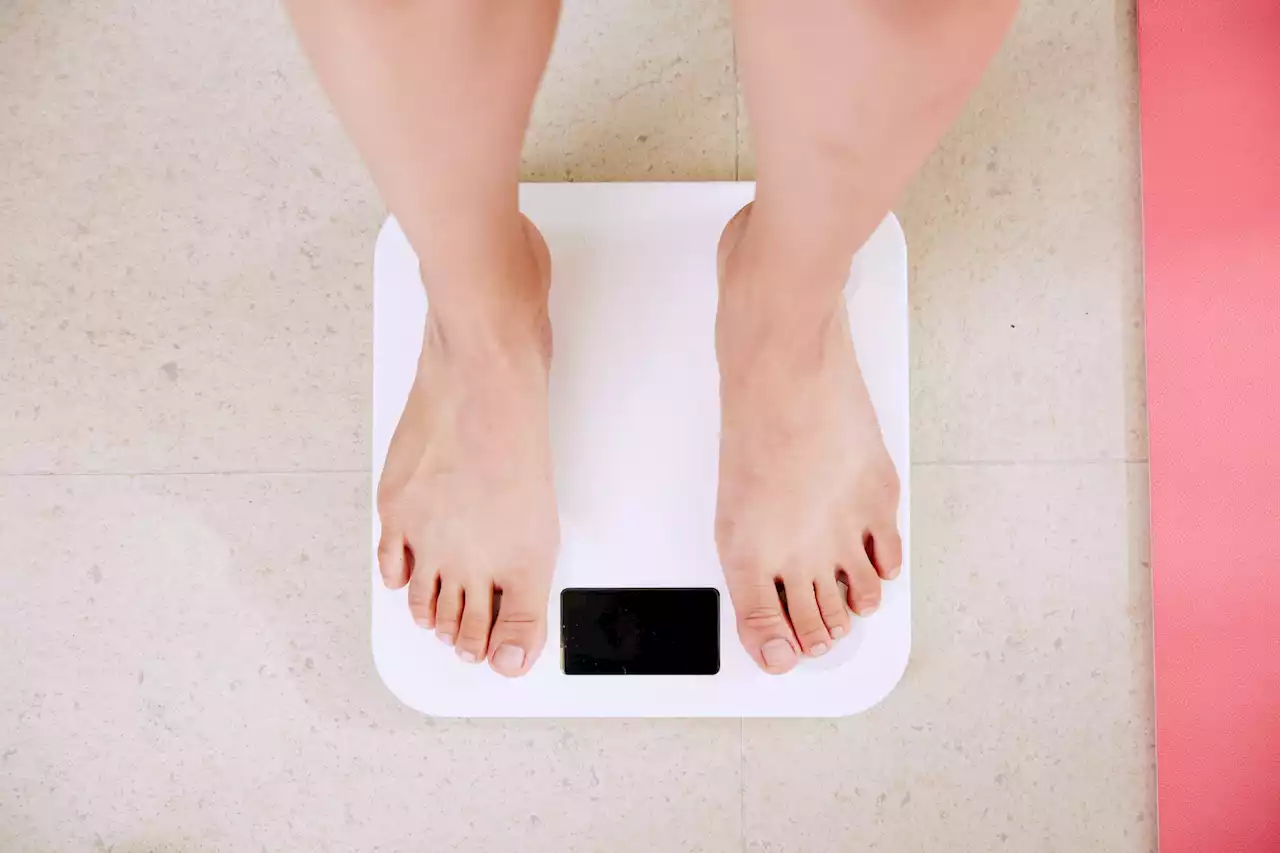 Obesity impairs the brain's response to nutrients, suggests study