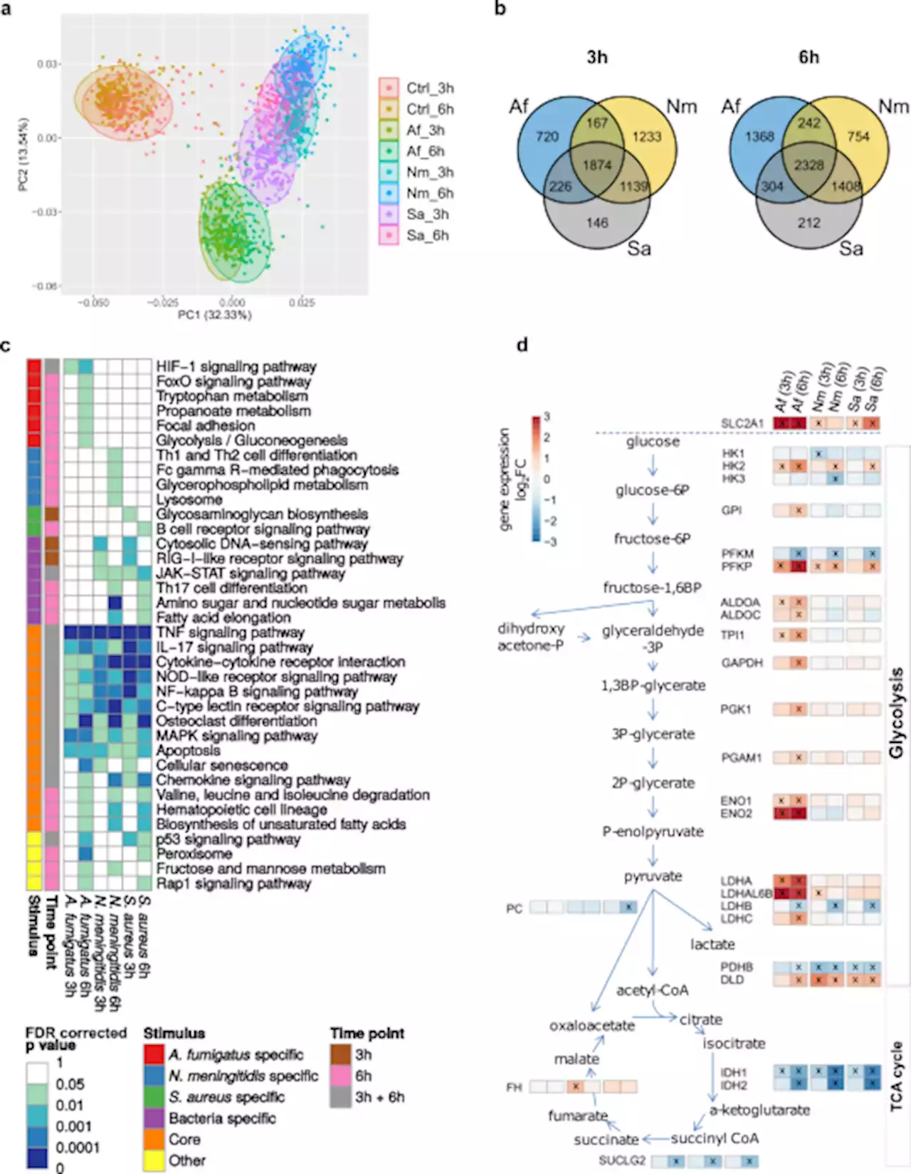 Pathogen-specific innate immune response patterns are distinctly affected by genetic diversity - Nature Communications