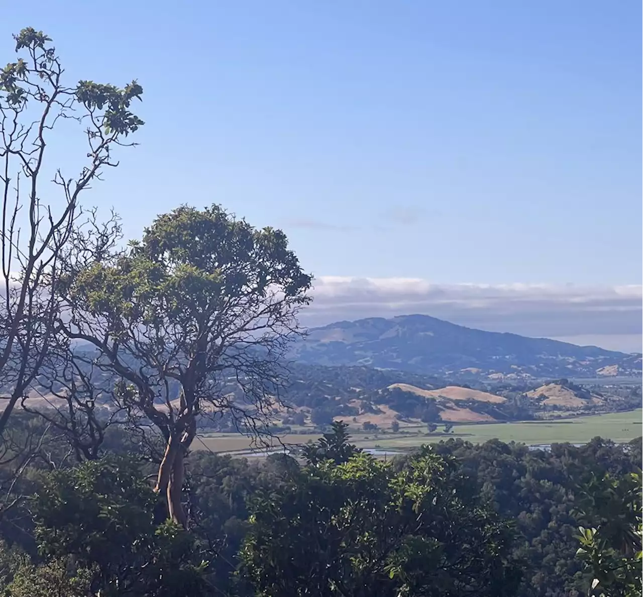 China Camp trails offer highs and lows of east Marin