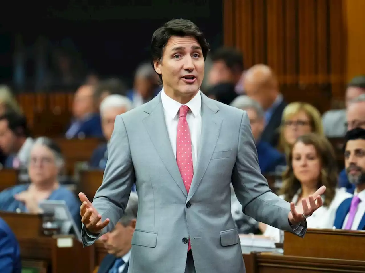 Michael Higgins: Justin Trudeau dismisses parental rights as 'far right'