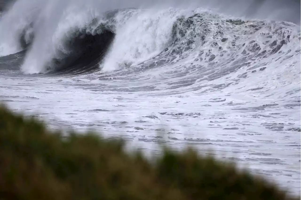 Pakistan orders mass evacuations ahead of cyclone landfall | News24