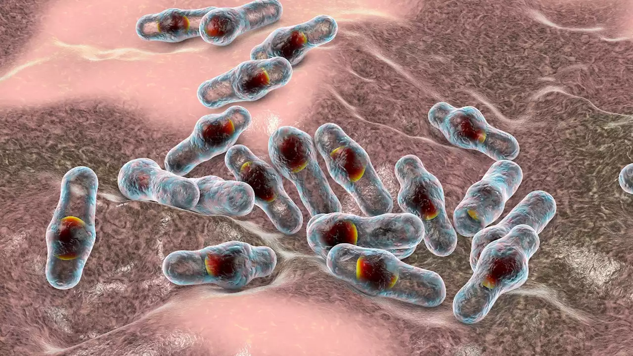 Dangerous weight loss trend triggers Iatrogenic botulism outbreak in Europe