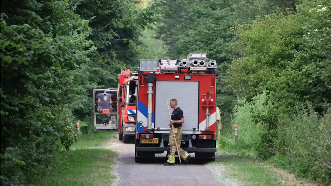 Grote natuurbrand met meerdere brandhaarden in Purmerbos