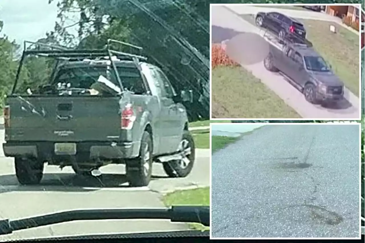 Horrific video shows Fla. driver dragging dog from truck, leaving blood stains for half a mile