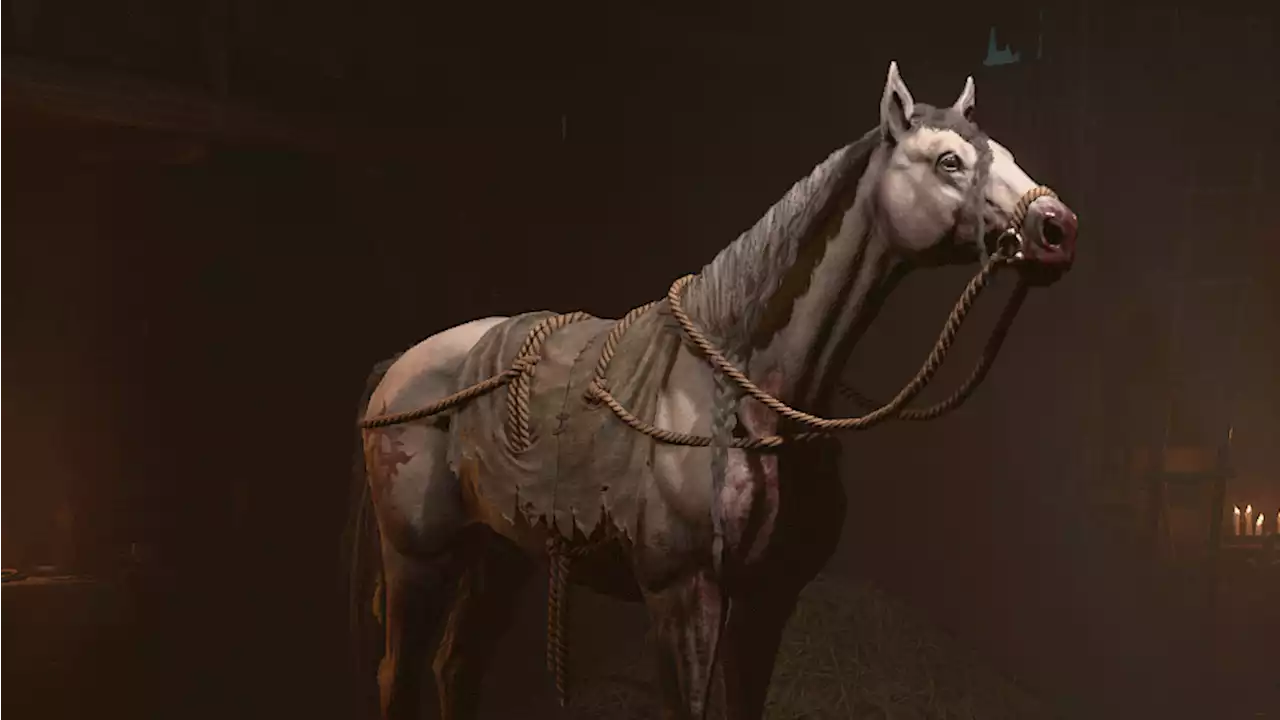 'Killable horse found': This innocent Diablo 4 stallion is the final target for its worst achievement