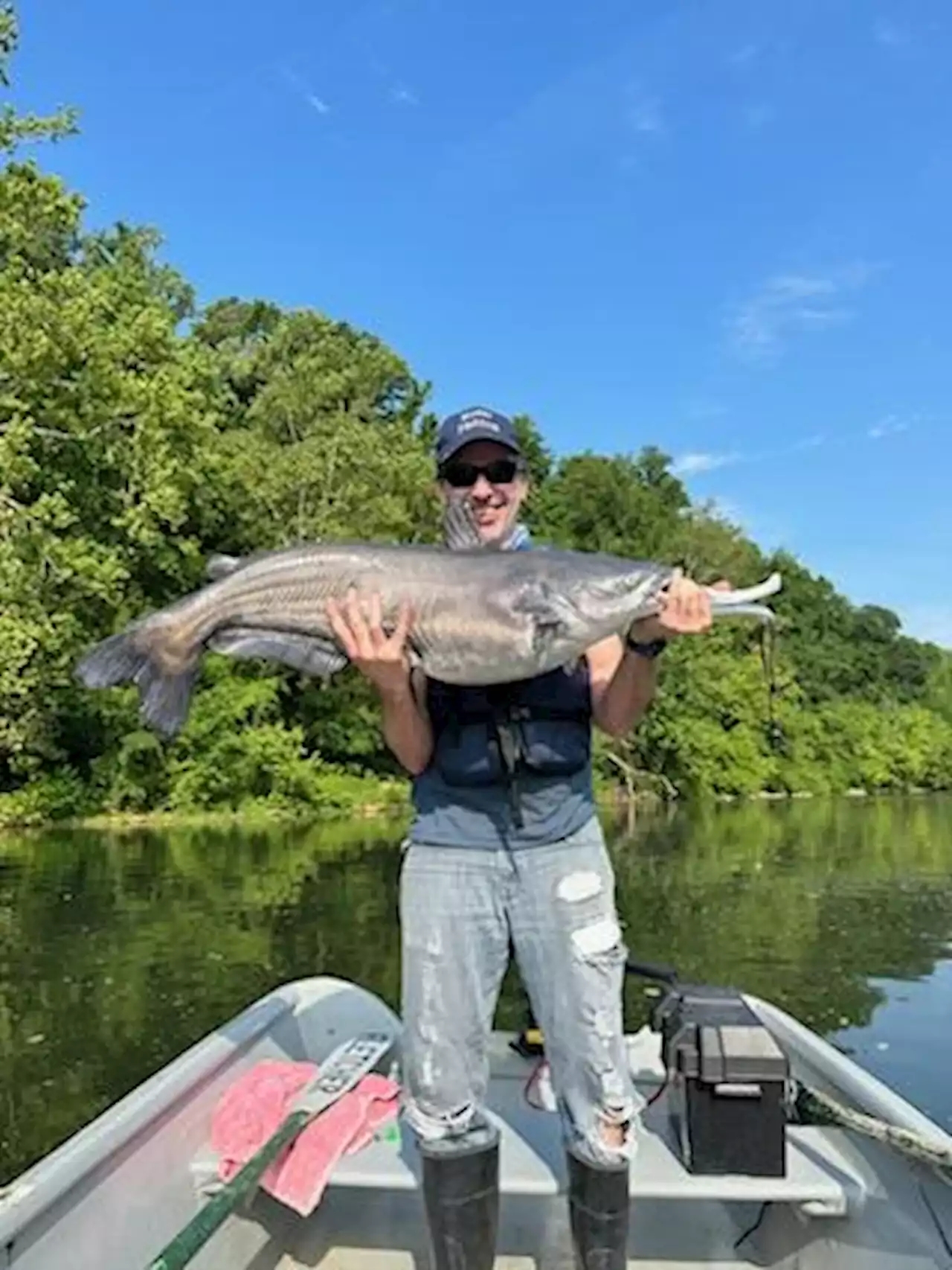 Nice Catch Kevin! - PoPville