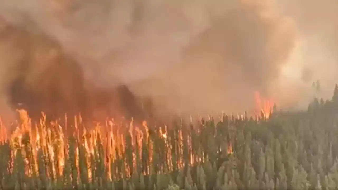 Incêndios florestais não ameaçam Grande Prêmio do Canadá, afirma F1