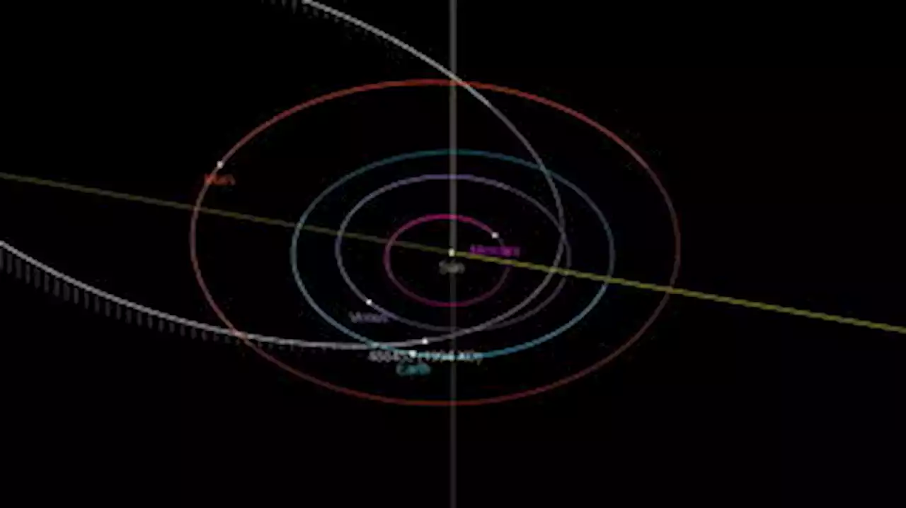 Asteroide 'potencialmente perigoso' passará próximo à Terra nesta segunda-feira (12)