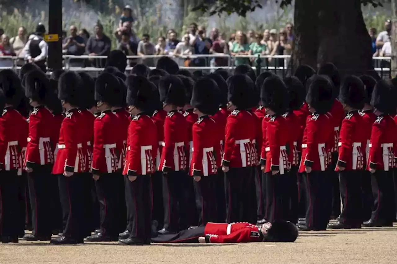 Tres miembros de la Guardia Real británica se desploman por el calor durante un desfile ante la indiferencia del resto de sus compañeros