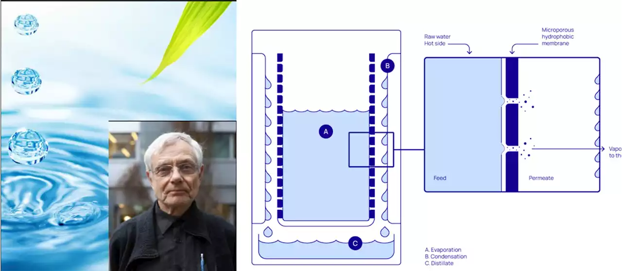 Revisorn om Aapo Sääsks vattenreningsbolag: ”Grönt ljus”