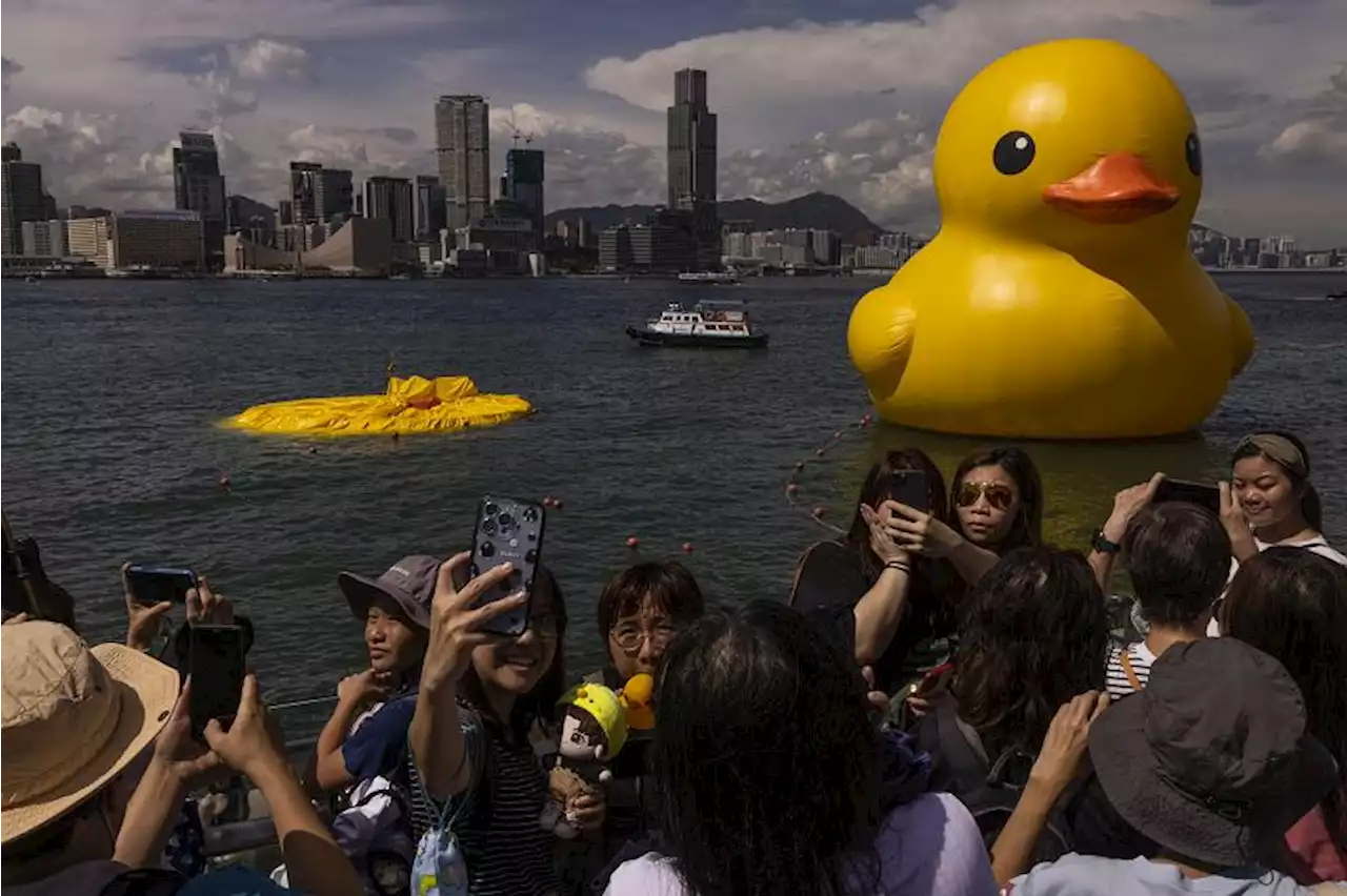 Sepasang Bebek Karet Raksasa Hiasi Hong Kong |Republika Online