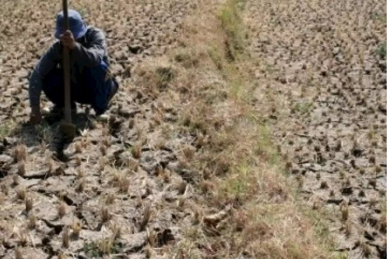 Sleman Jaga Pasokan Air Pertanian Antisipasi Kekeringan Dampak El Nino |Republika Online