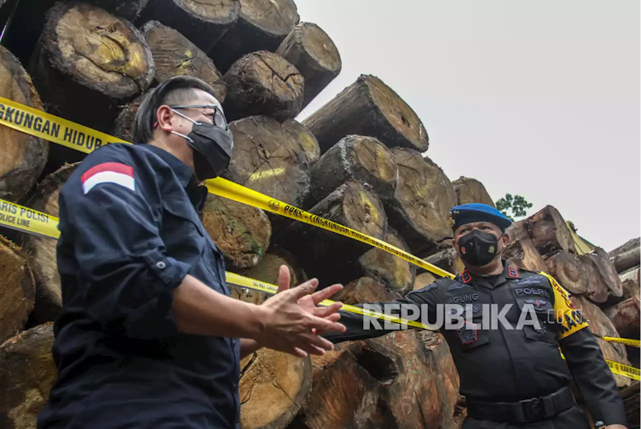 Viral Kayu Bulat Diduga Hasil Penebangan Liar Penuhi Pemandian di Kampar |Republika Online