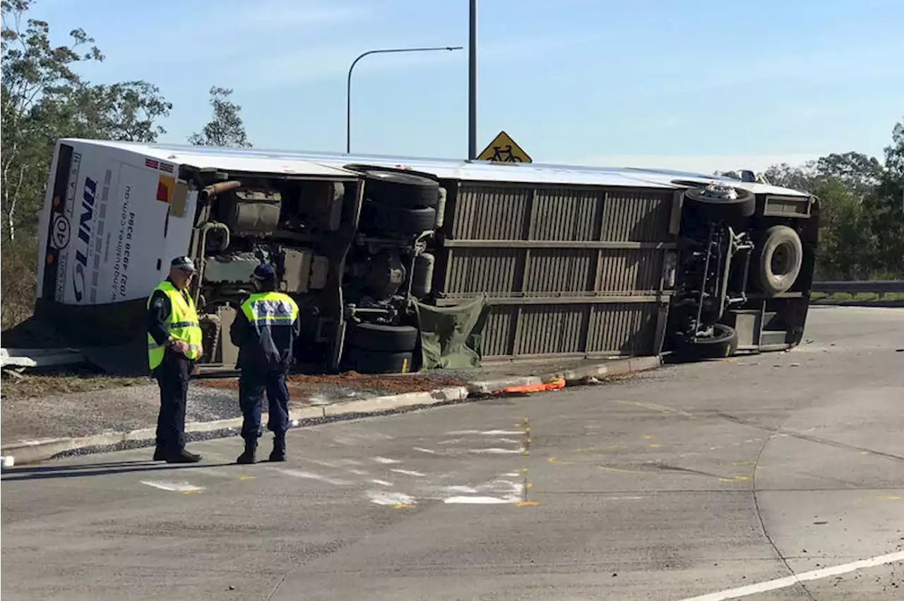 Bus accident kills 10 wedding guests in Australia